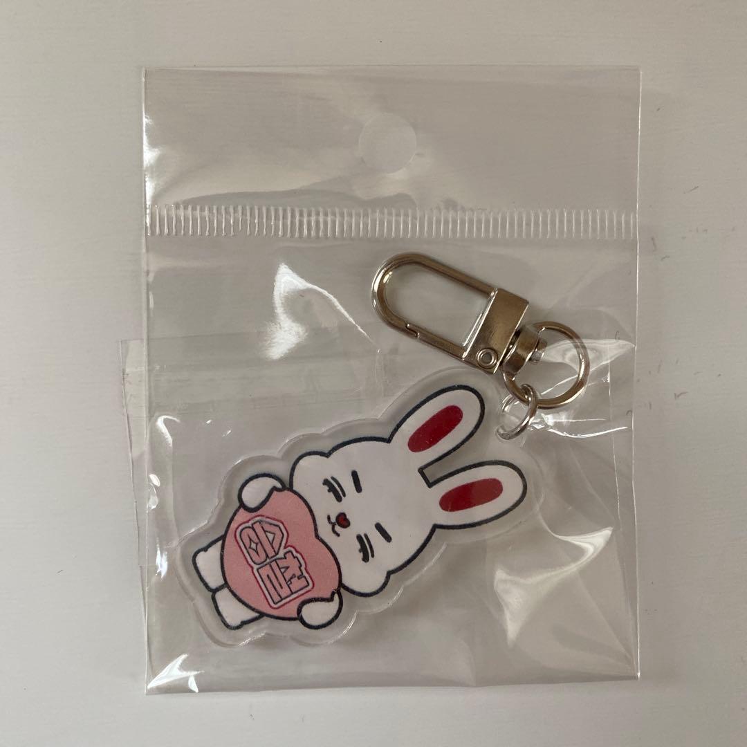 SEVENTEEN miniteen エスクプス キーリング チェチェリー