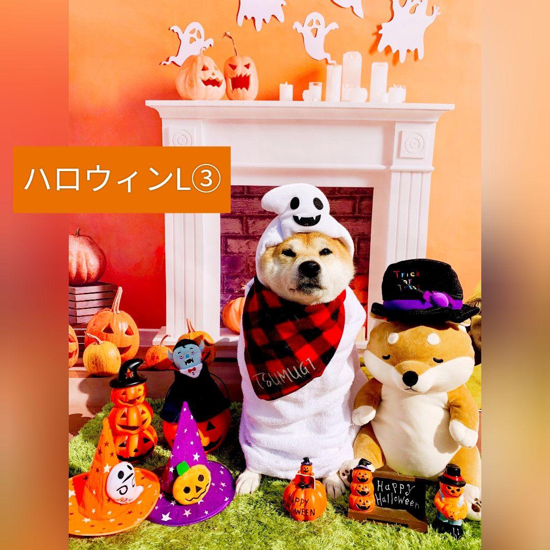 背景布秋XD③ペット撮影用フォトブースハロウィントリミングチョーカー