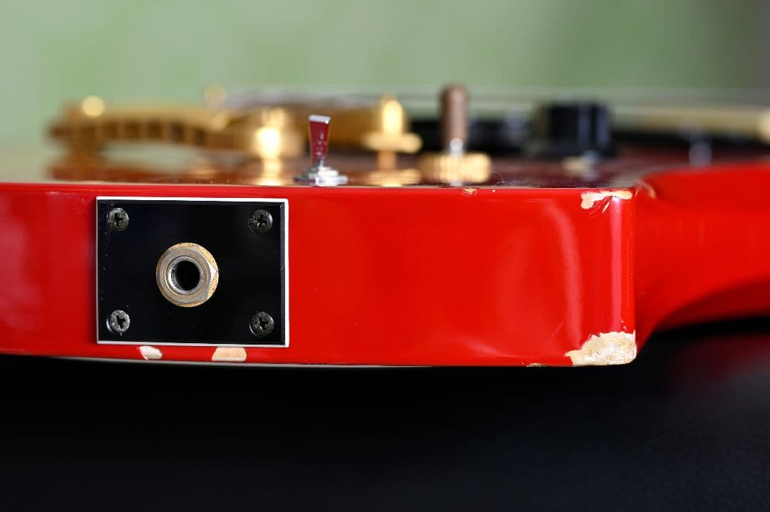 Burny FERNANDES MG X Japan hide モッキンバード