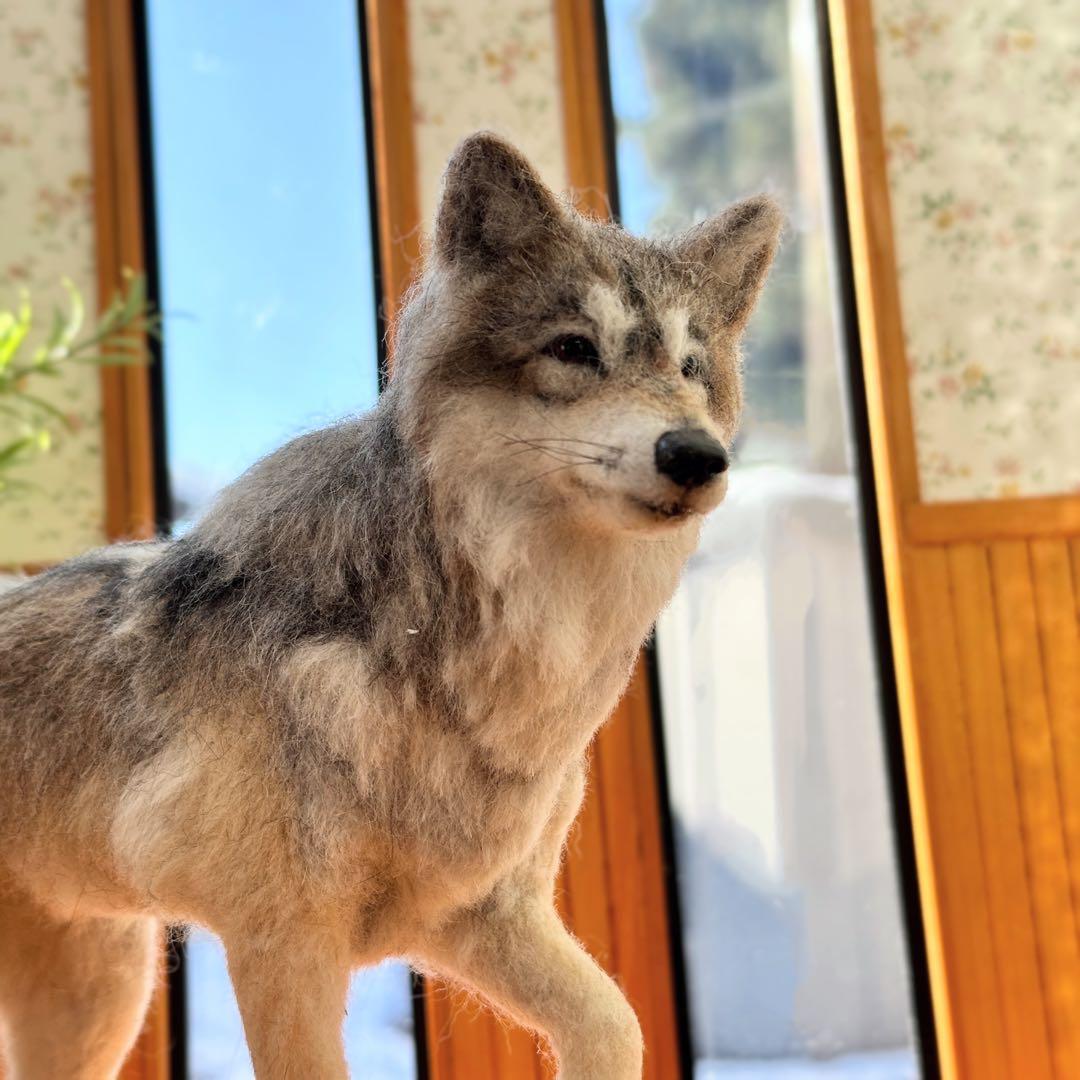 羊毛フェルト オオカミ 狼 】 ドールハウス 1/6 置物