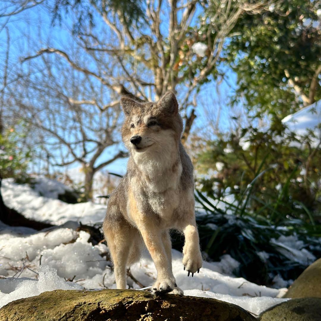 羊毛フェルト オオカミ 狼 】 ドールハウス 1/6 置物