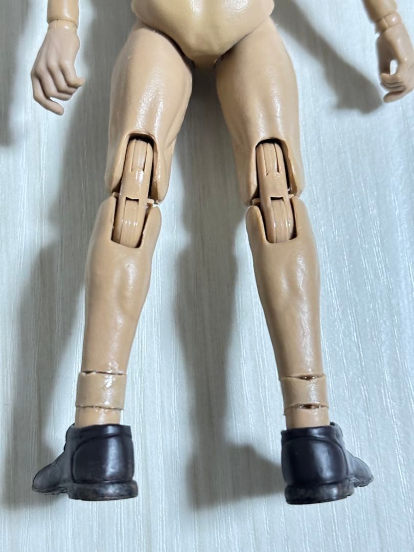 可動域 カスタム フィギュア 素体