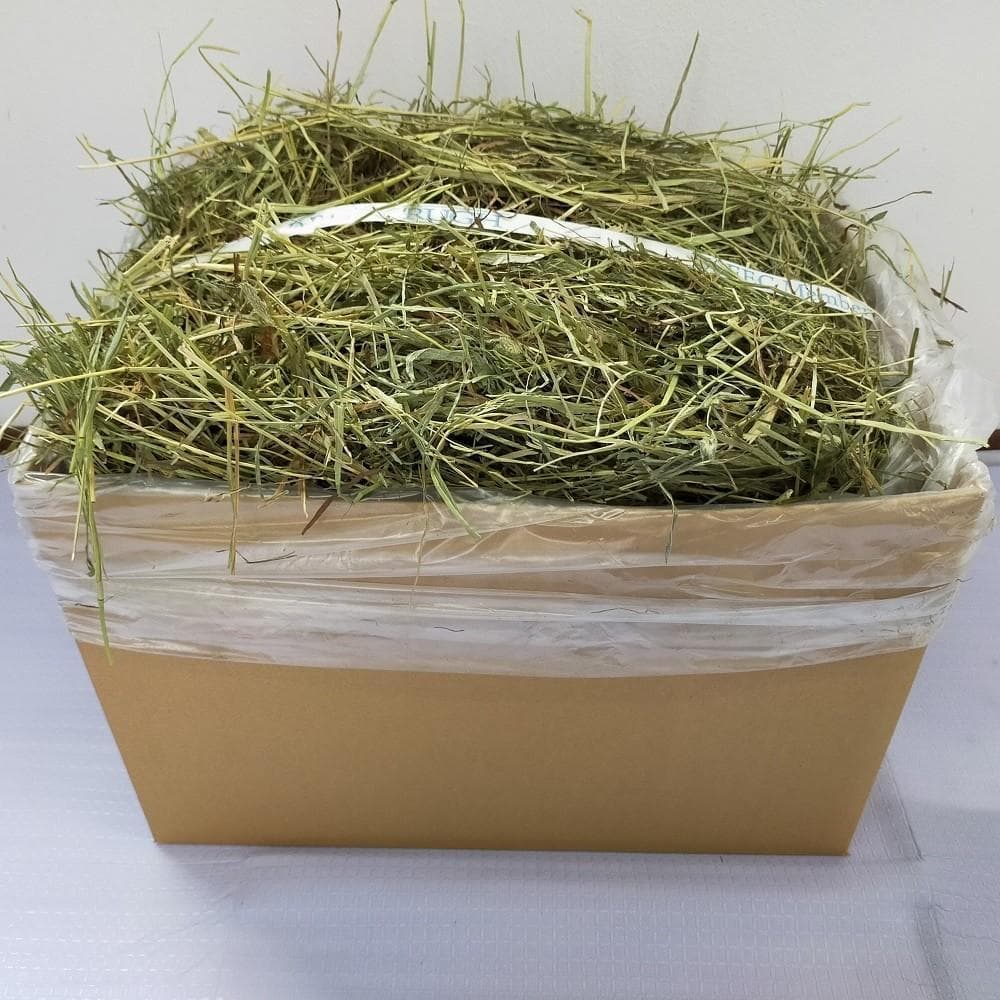 12/30まで】US産 チモシー 40kg 2番刈 ソフトSプレミアム