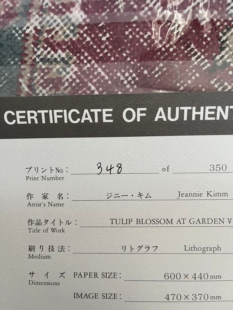 大きめ リトグラフ 新品額入 46✖️63 ジニーキム サイン ED 証明書