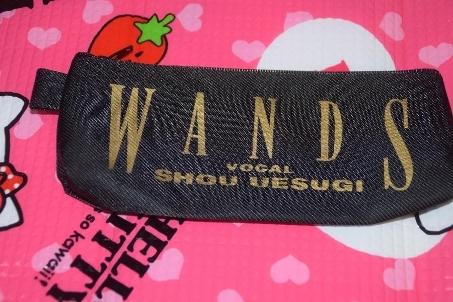 ◎レア◎WANDS(上杉昇/柴崎浩)◎ペンケース◎グッズ◎ www.newblock.com