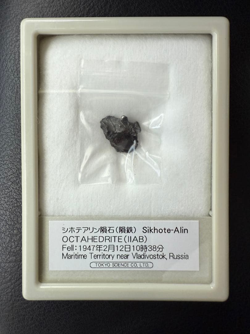 隕石 セット 標本 夏休み 自由研究