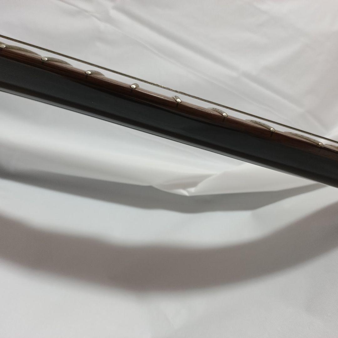 ギター Daisy Rock Stardust Elite Midnight Burst