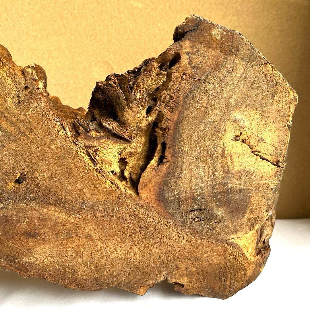 天然木 カエルの彫刻 流木 インテリア装飾 彫刻 美術品 骨董 幅60㎝ カエル