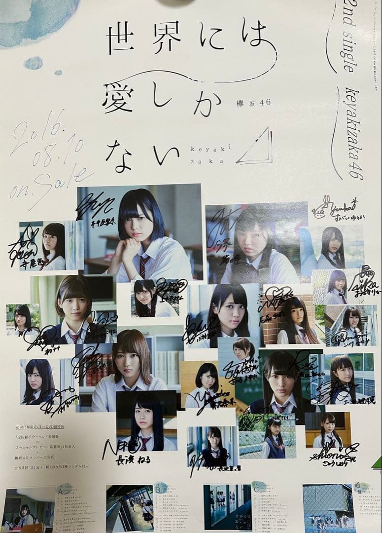 ☆*☆様 欅坂46 サイン入りポスター2枚セット ☆*☆様 欅坂46 サイン入りポスター2枚セット