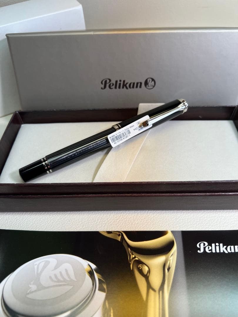 限定生産品43本】レオナルド 万年筆 MZG サンセット・ウェーブ F