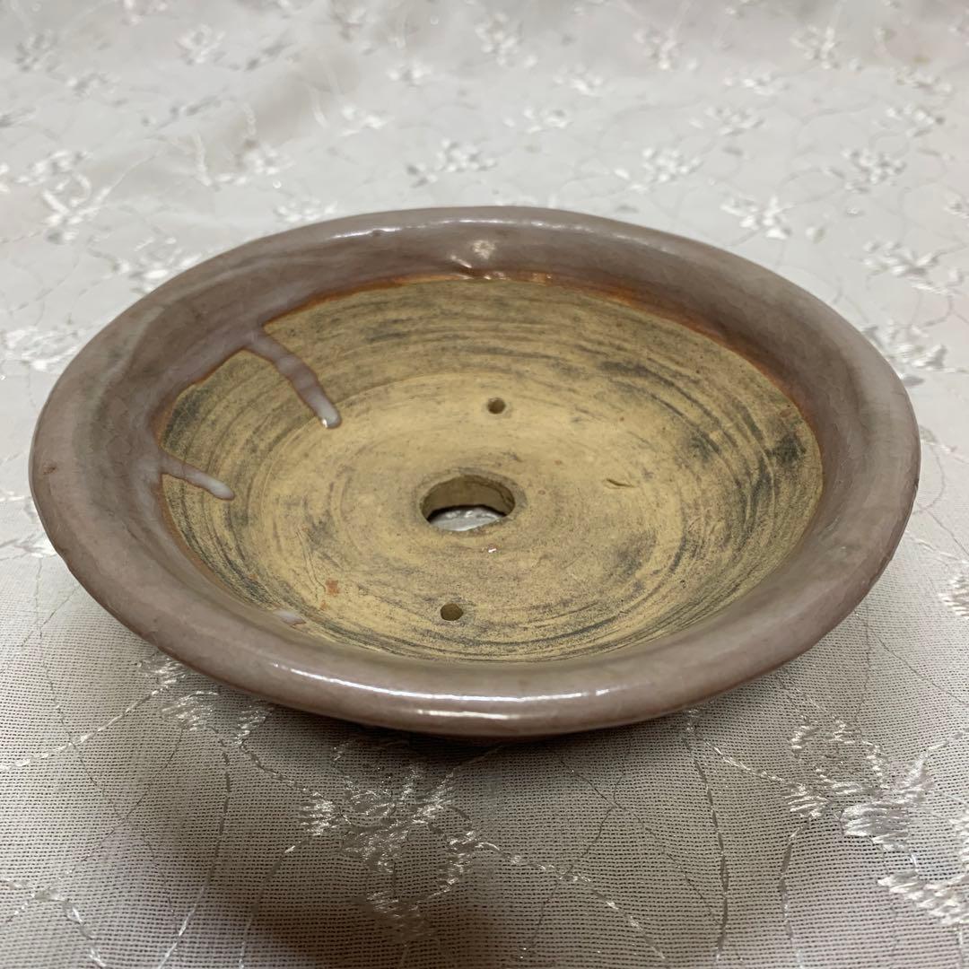 侘助 丸 浅め 盆栽鉢 美術品・アンティーク・コレクション