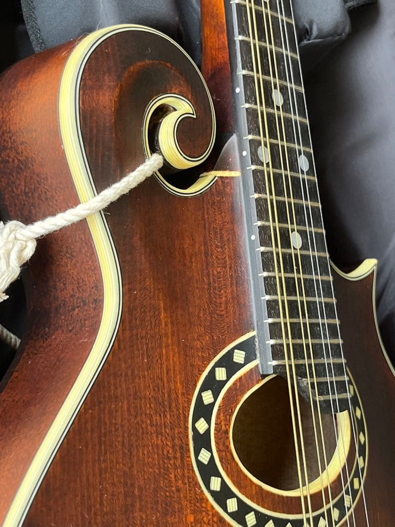 た*ん様 Eastman MD314 イーストマン フラットマンドリン