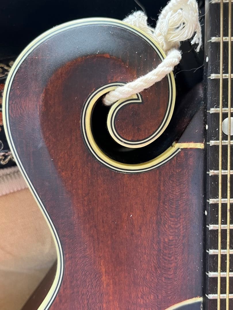 た*ん様 Eastman MD314 イーストマン フラットマンドリン