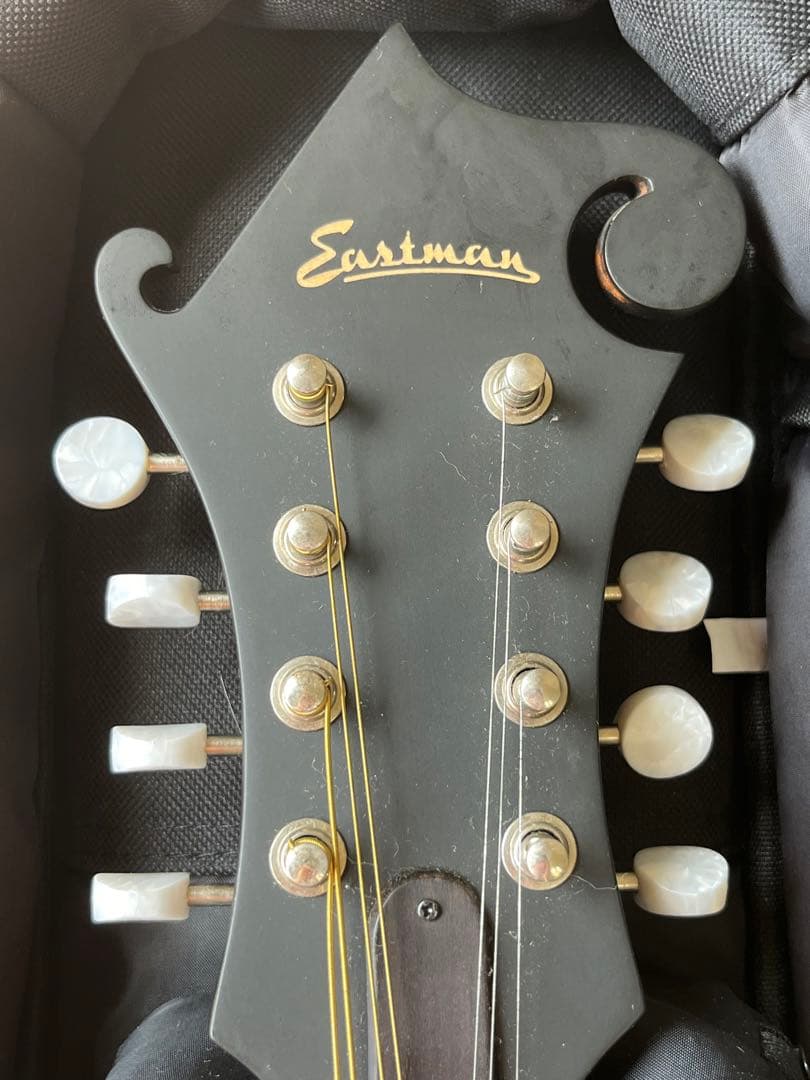 た*ん様 Eastman MD314 イーストマン フラットマンドリン