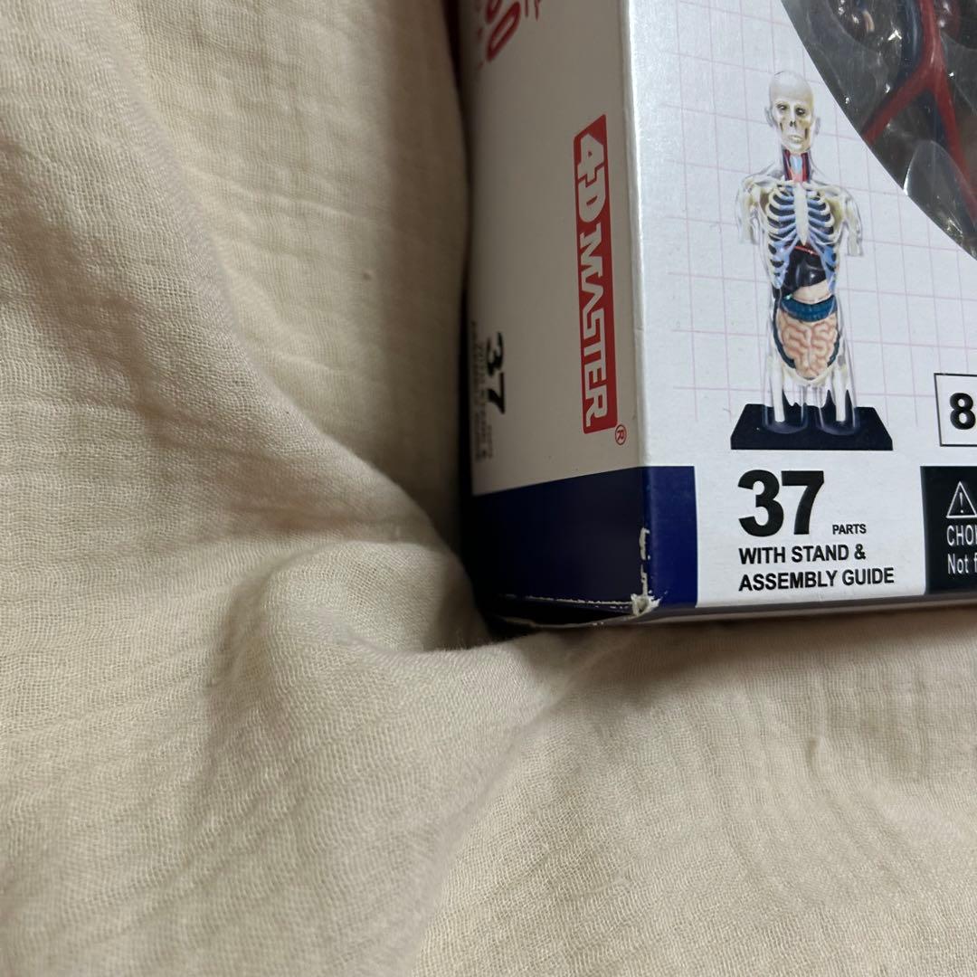 4D HUMAN ANATOMY 人体模型/成人/婦人科/泌尿器科 3種セット