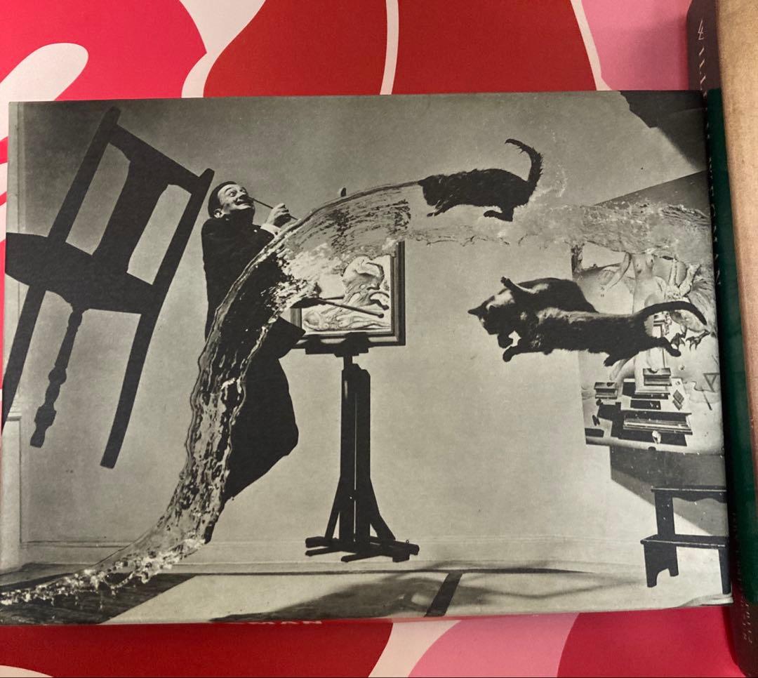 廃盤品　IKEA OLUNDA ピカソ　レプリカ　アート　貴重　希少　レア商品