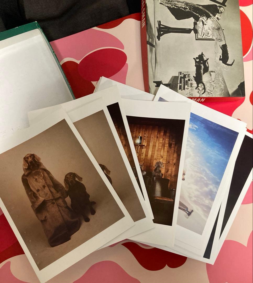 廃盤品　IKEA OLUNDA ピカソ　レプリカ　アート　貴重　希少　レア商品