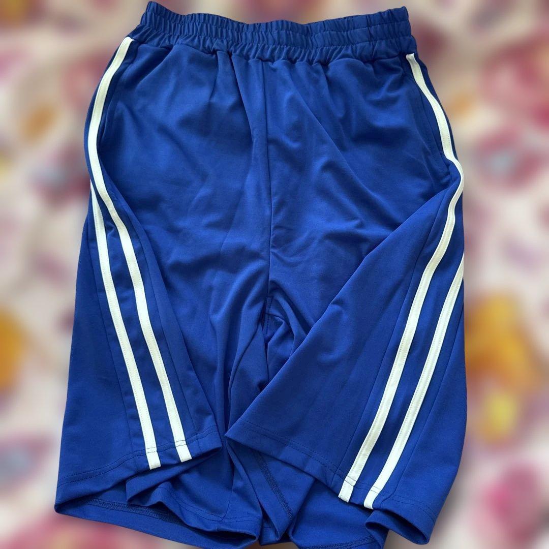 ときメモGS1,2,3,4 羽ケ崎学園体操服上下プレミアムバンダイLサイズ佐伯瑛