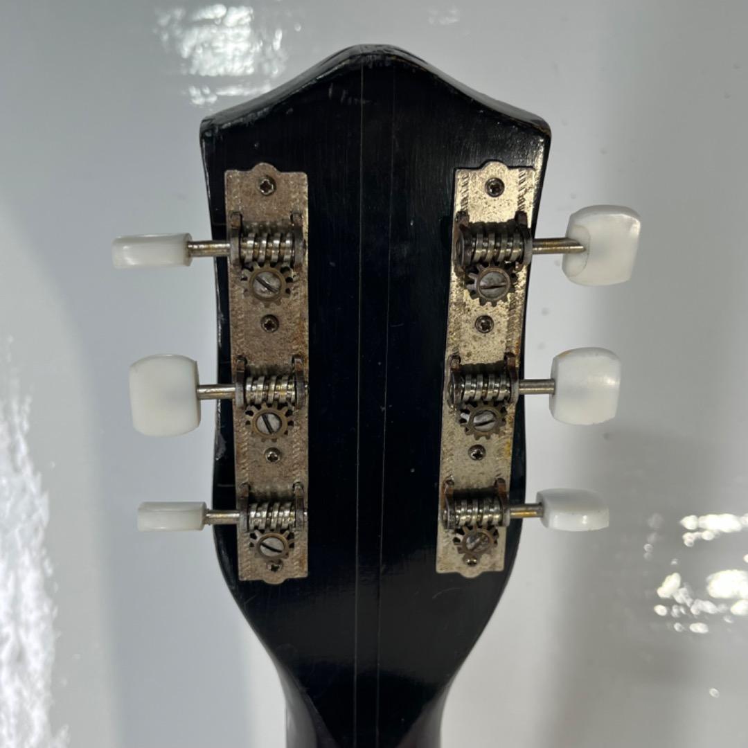 超希少！フルメンテ！FUJIGEN Demian デミアン