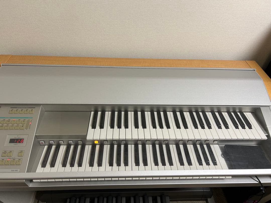 ステージア ELS-02C バイタライズ 2009年製 - メルカリ