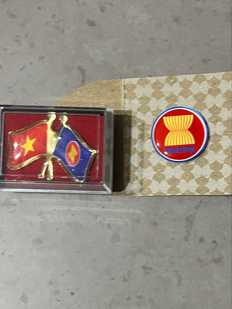 激レア】アメリカ館ナショナルデーピンバッジ