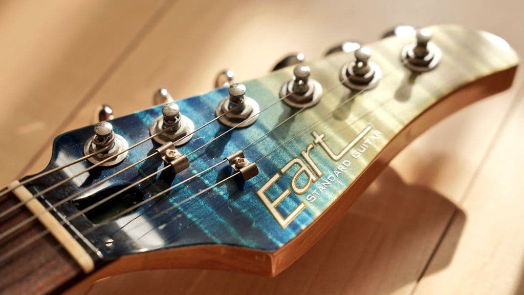 eart エレキギター 虎目トップ ステンレスフレット 薄Dネッ