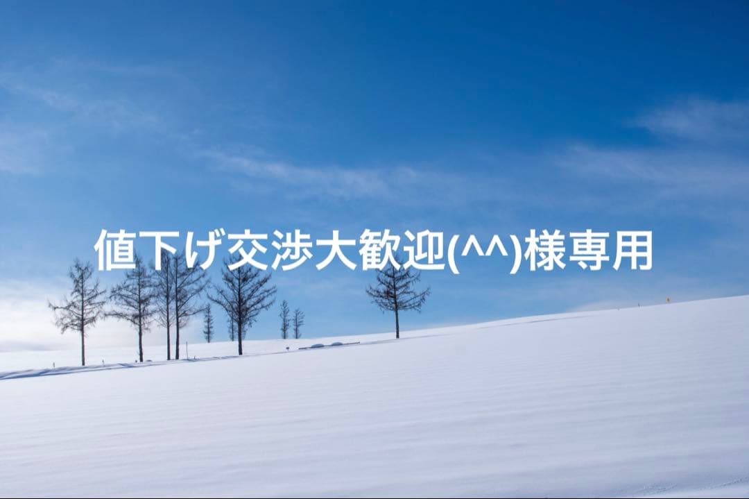 値下げ交渉大歓迎(^^)様専用 - メルカリ