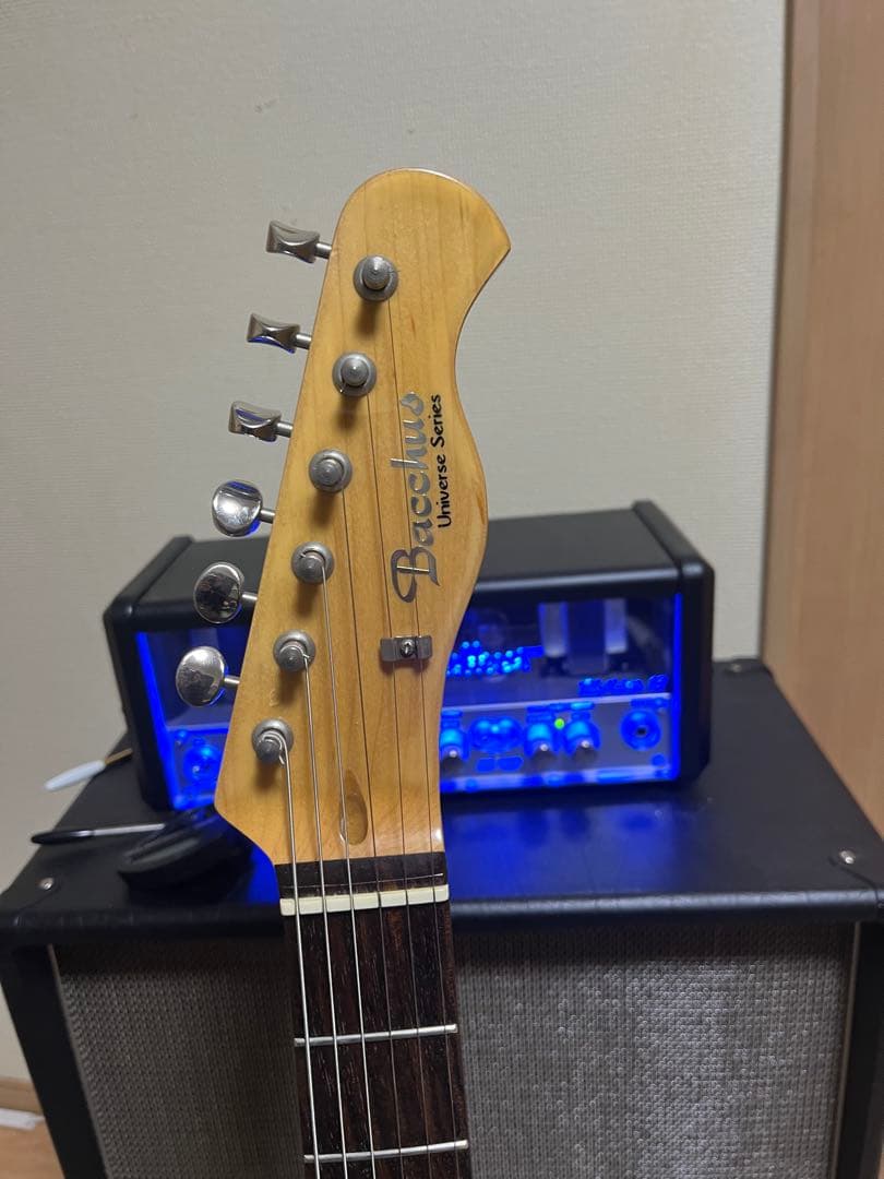 バッカス　旧ロゴBTE-350 パーツアップグレード