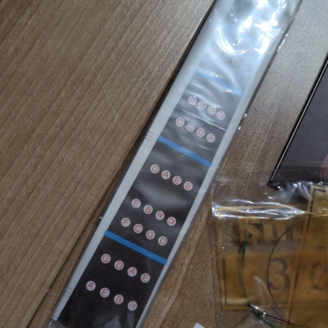 エレクトリックバイオリンHallstatt CV-210E 4/4 エレキ