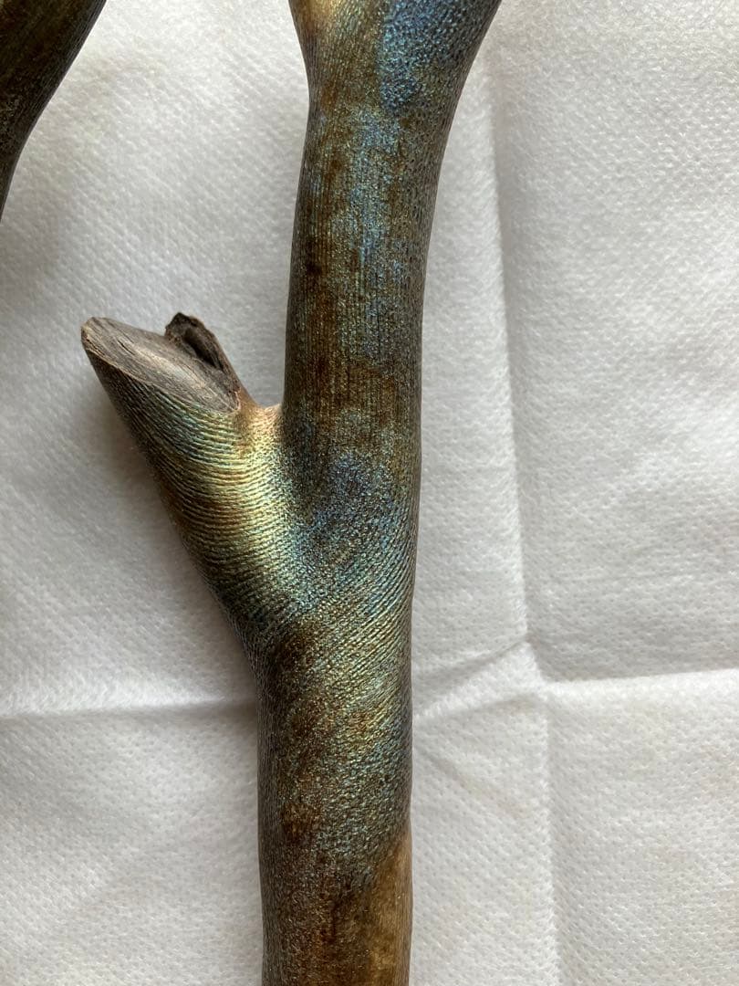 【最高級品】レインボーコーラル、深海松