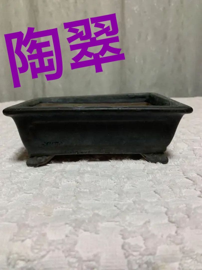 盆栽鉢 陶翠