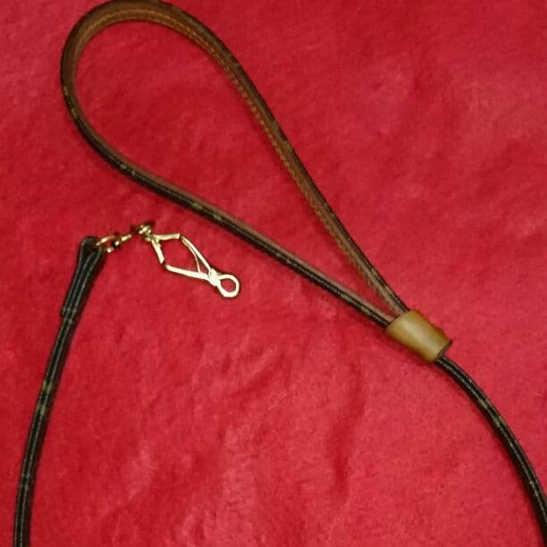 ■確認用■ルイヴィトン*レッス・バクスターMM LOUIS VUITTON ルイ・ヴィトン レッスバクスターMM モノグラム 小型犬