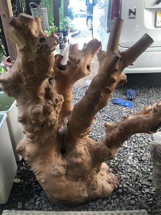 大木の幹 鑑賞用 インテリア アンティーク 流木 置物 天然木