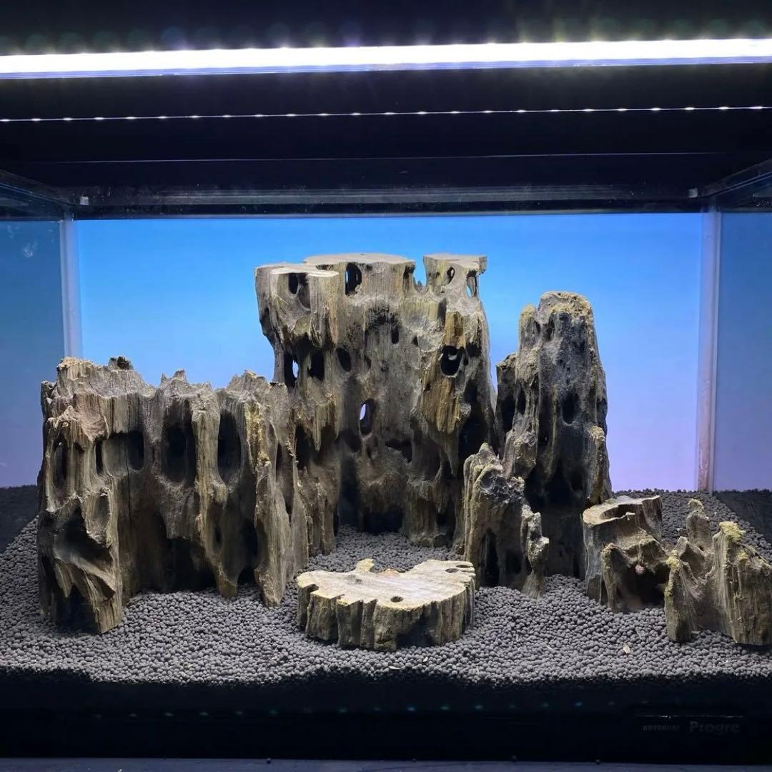 サファリ様専用」気孔石2kg 3-15cmランダム発送 MMW-6270追加