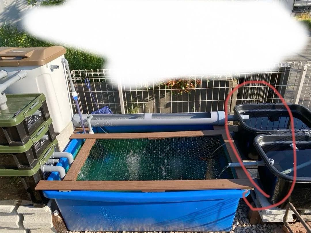 複数セット商品 自作 子水槽 その他 複数セット商品 自作 子水槽 その他 複数セット商品 自作 子水槽 その他