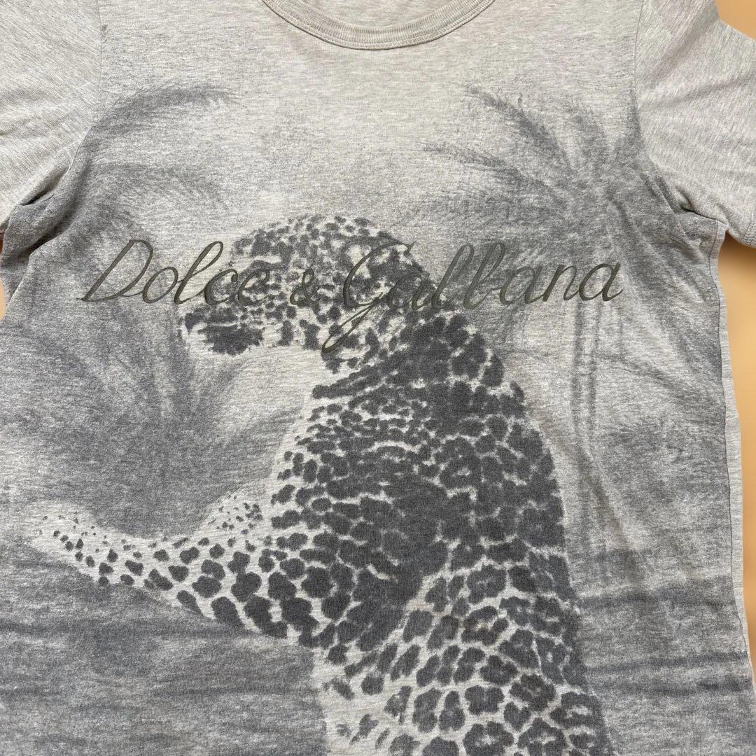 Dolce & Gabbana ヒョウ柄Tシャツ