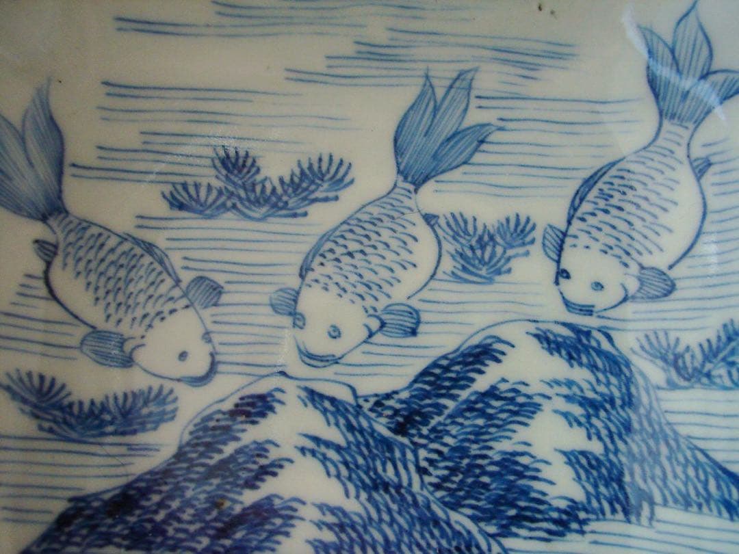 金魚絵図 四角鉢