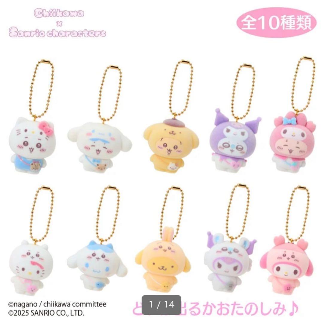 ちいかわ サンリオシークレットフロッキーマスコット全10種コンプリートBOX