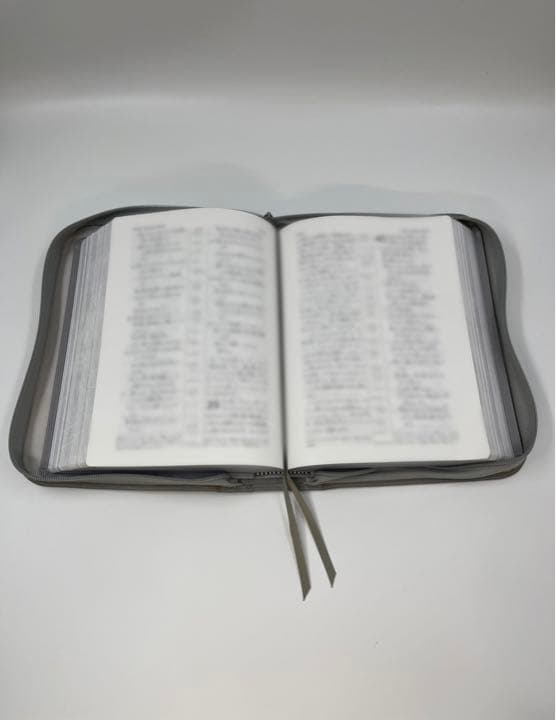 新世界訳聖書（2019年改訂版）　日本語大判用　本革カバー