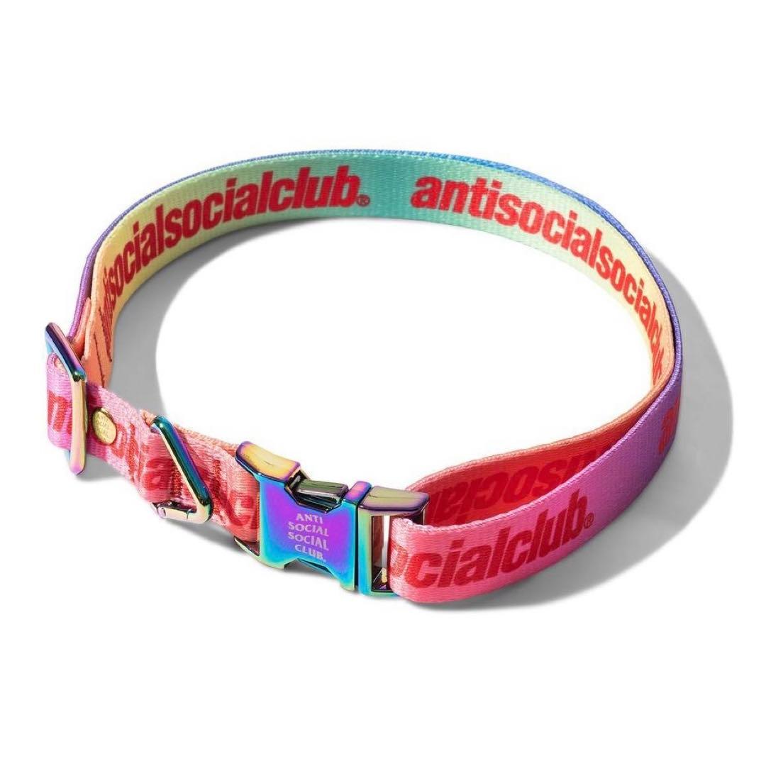 アンチソーシャルソーシャルクラブ 首輪andリード 日本未発売 ANTI