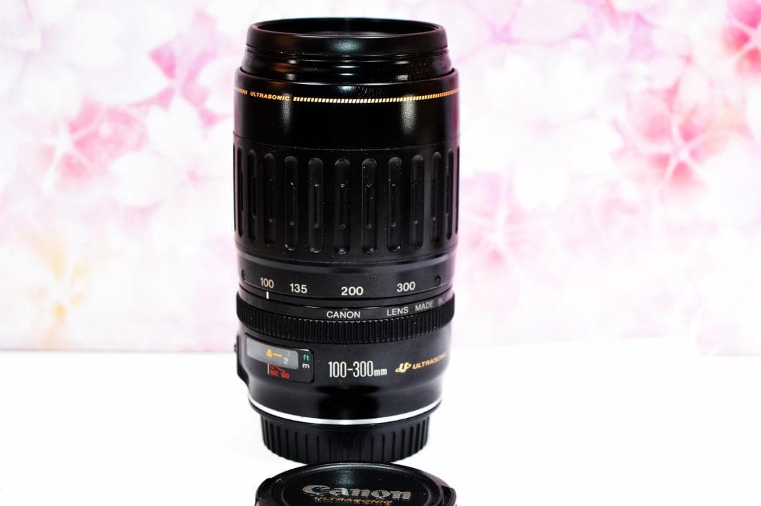 望遠はここから！大迫力望遠レンズ ストア キヤノン300mm Canon キャノン