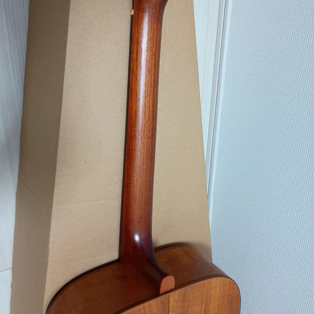 SX DG-LTD2 アコースティックギター SX DG-LTD2 CUSTOM GUITARS 社外