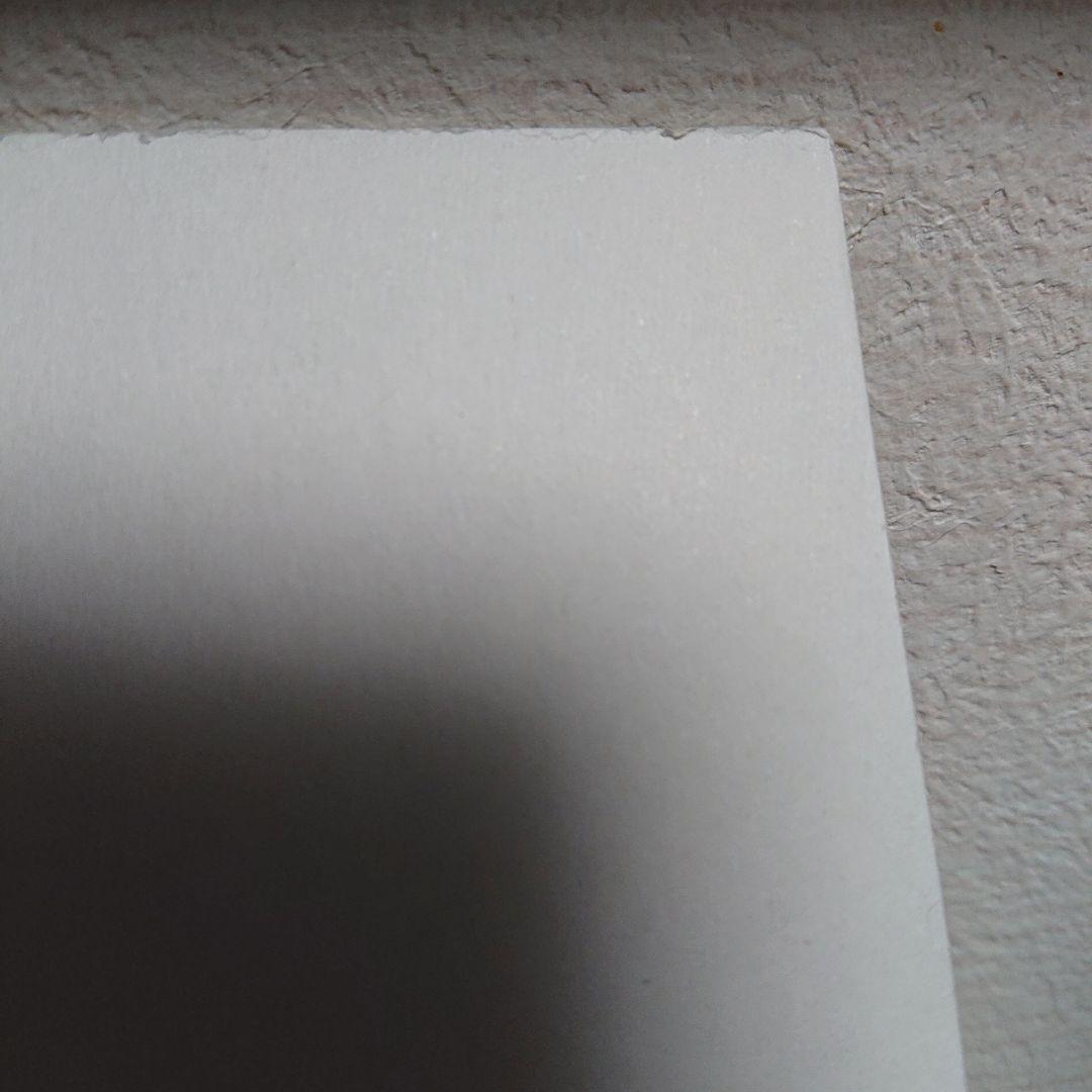 「金運大昇鯉」佐藤晋伍色紙絵