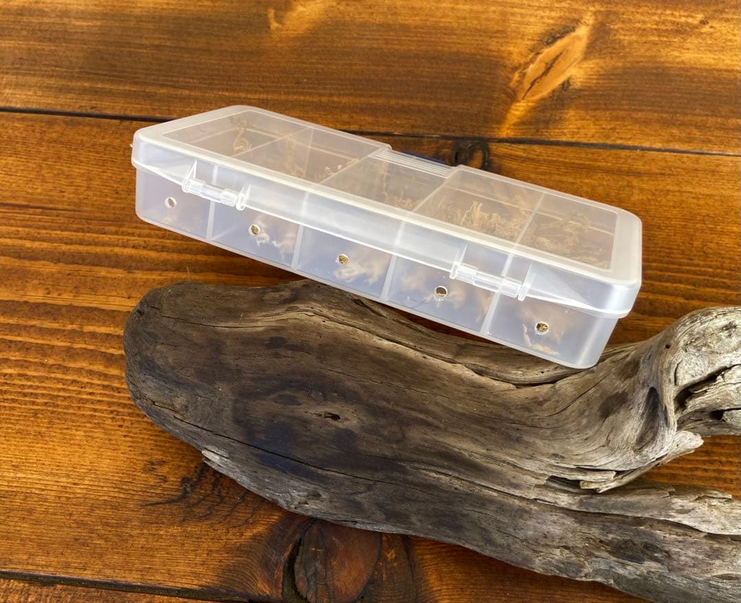 クワガタ採集セット 蛍光ピンク オリジナル掻き出し棒 デジタルノギス