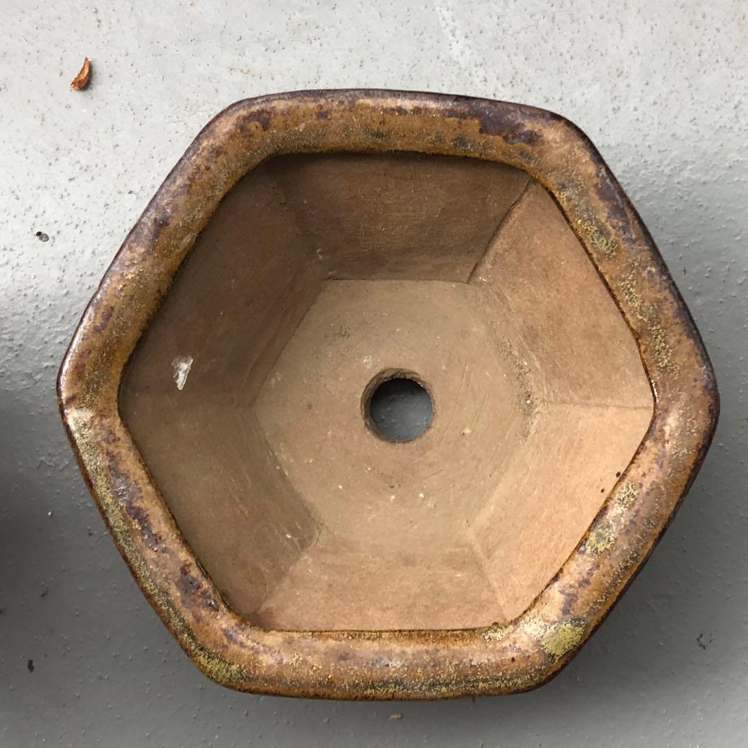350.荞麦釉飾足六角鉢 盆栽鉢 植木鉢 14*15*5cm 350.荞麦釉飾足六角鉢