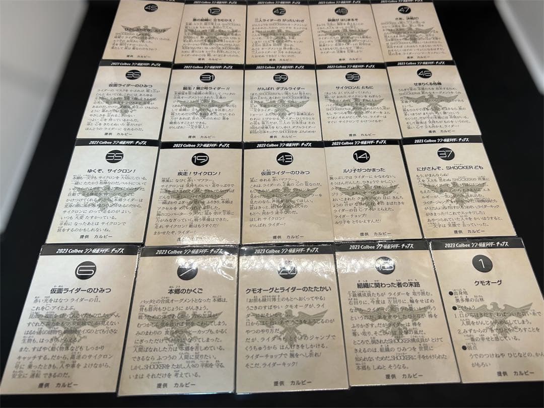 S.H.Figuarts 仮面ライダー第2号 サイクロン号 チップスカードセット