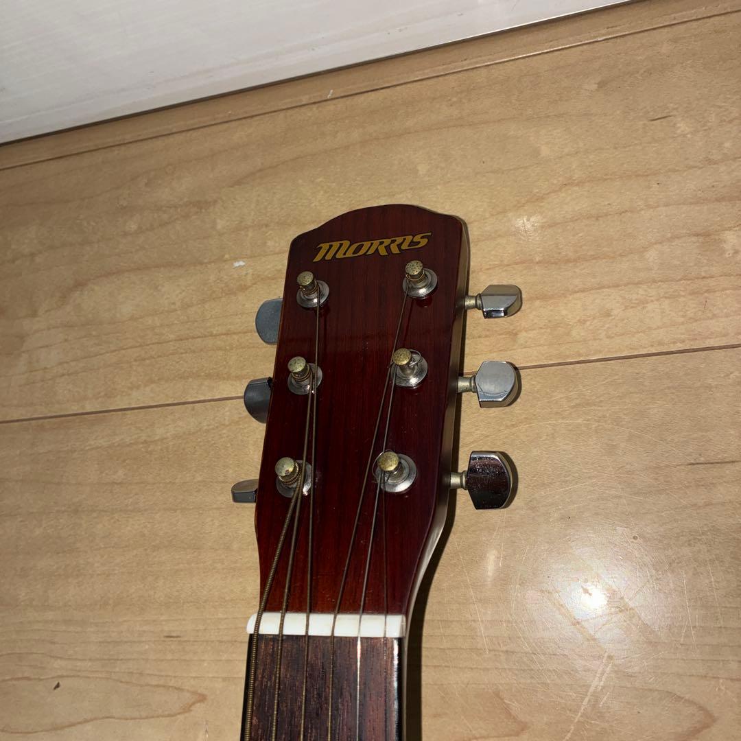 調整済み Morris（モーリス） ミニサイズ ギター L-A1TS Morris