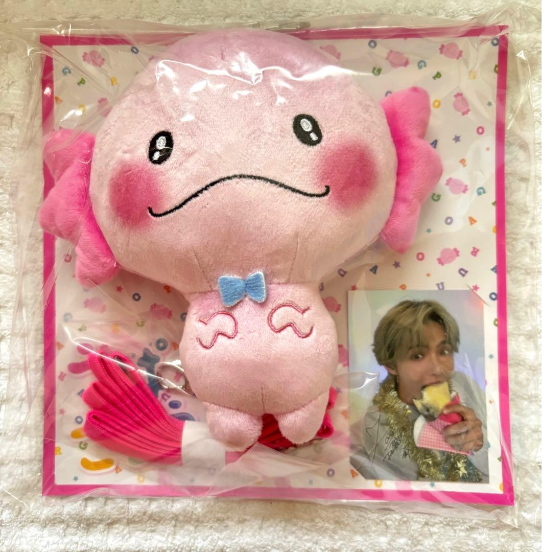 FANTASTICS 佐藤大樹 うぱごろうパスケース FANTASTICS 佐藤大樹 うぱ