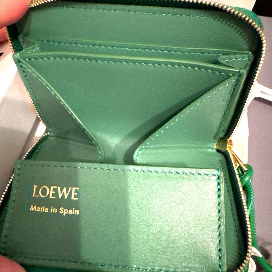 新品⭐︎ロエベ⭐︎デイジージップパース