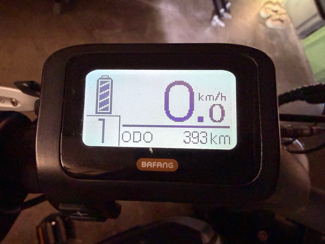 低走行 BRONX BUGGY ブロンクスバギー バッテリー交換済